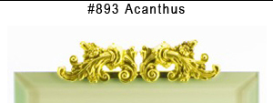 #893 Acanthus